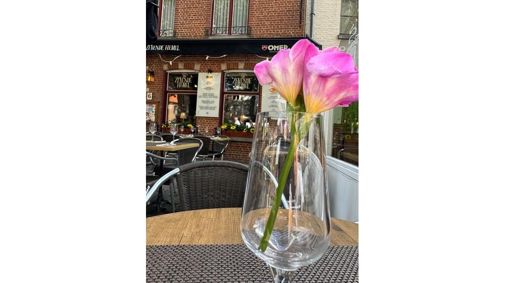 Overname instapklaar restaurant met Terras in Brugge