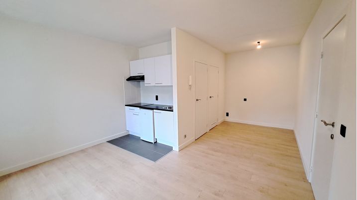 Volledig gerenoveerde gelijkvloersstudio te koop in Sint-Andries Brugge | Gistelse Steenweg 261 Sint-Andries (8200) | De Brugse Databank Vastgoed - immo - real estate -  050 34 34 20